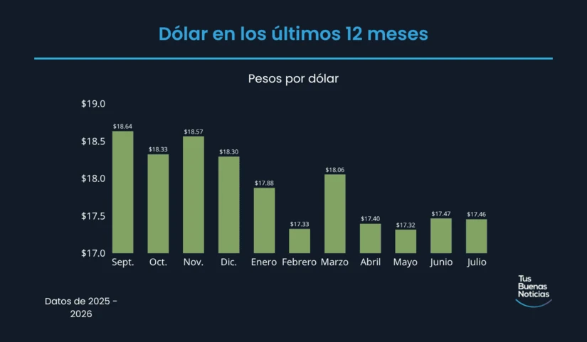Dólar en los últimos 12 meses de acuerdo al DOF. Foto: TBN
