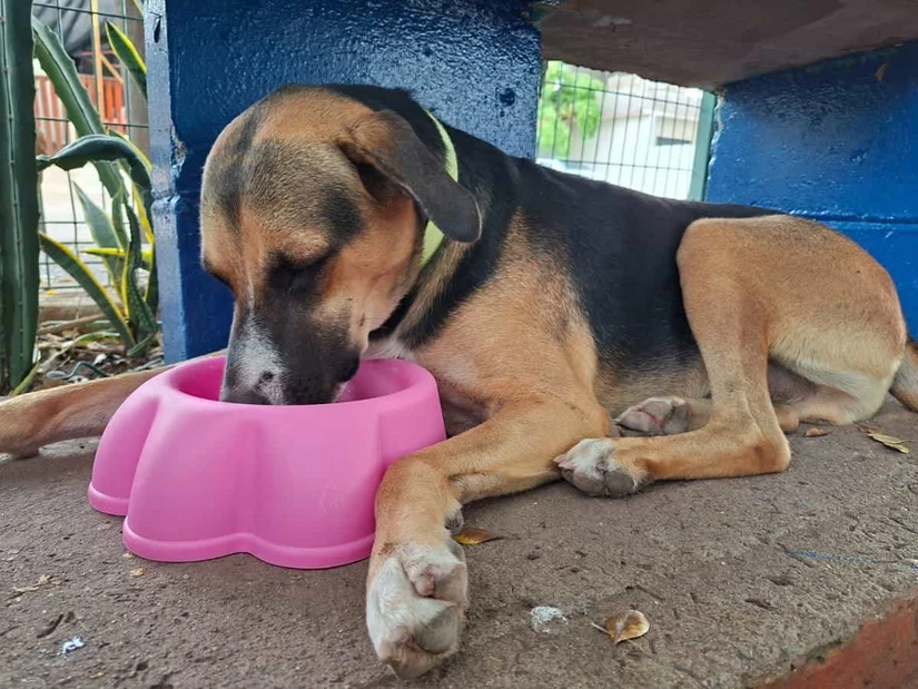 Gravemente enfermo y al borde de la muerte, Paco encontró una segunda oportunidad gracias a la solidaridad de los vecinos de la Unidad Deportiva La Florida, en Culiacán. Foto: Juan Madrigal