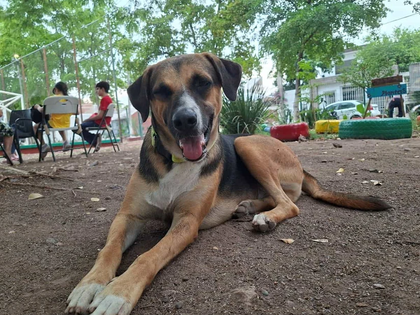 Hoy Paco es uno de los guardianes más queridos de la Unidad Deportiva La Florida, símbolo de que la solidaridad puede transformar una vida. Foto: Juan Madrigal