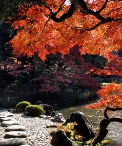 Jardines Botánicos