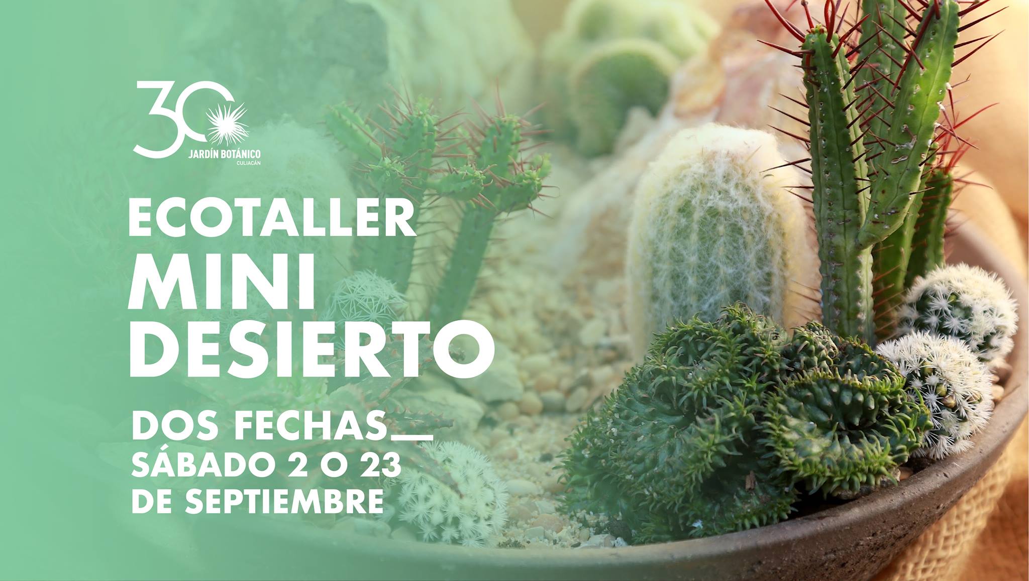 mes de Culiacán