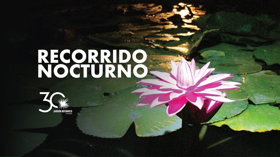 eventos culiacán