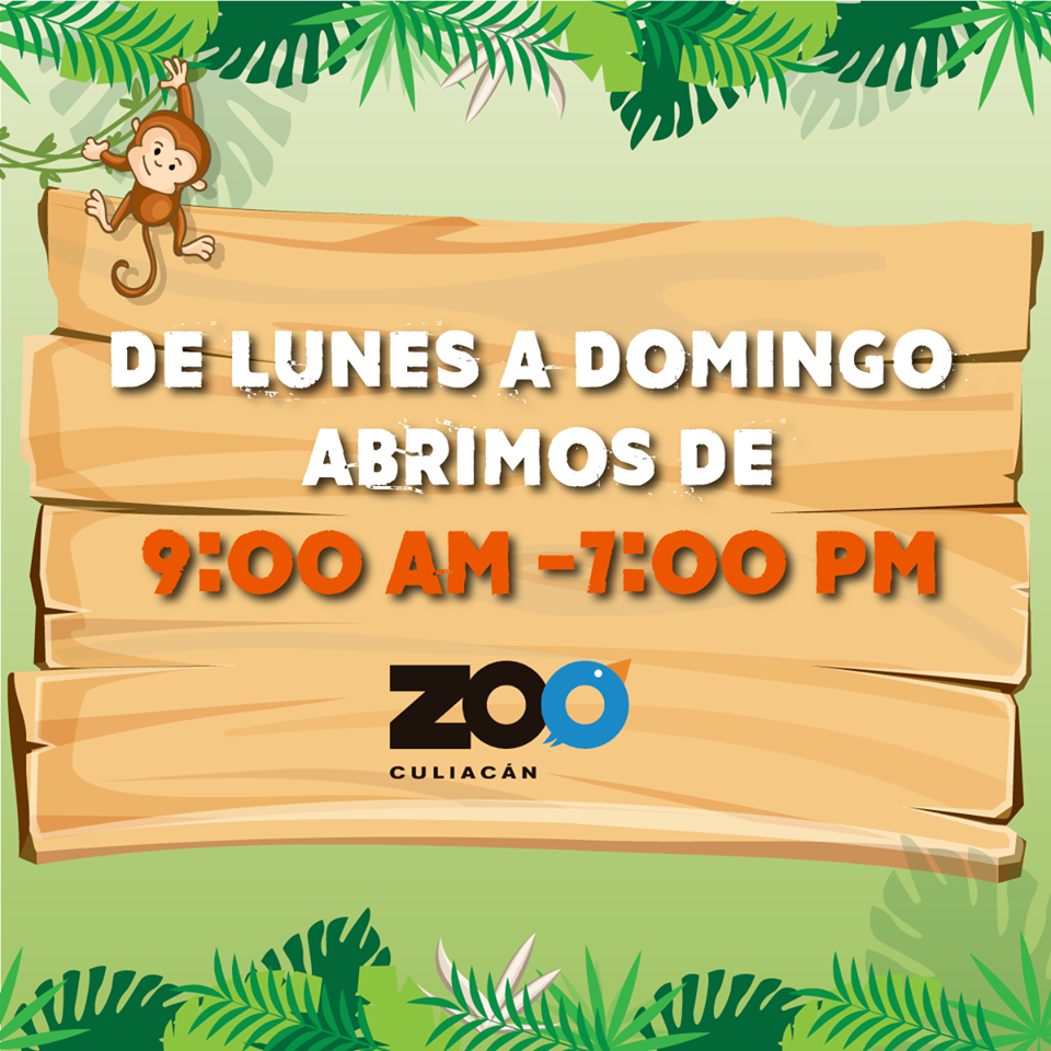 qué hacer en Culiacán
