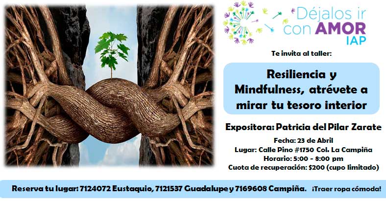 eventos filantrópicos en culiacán