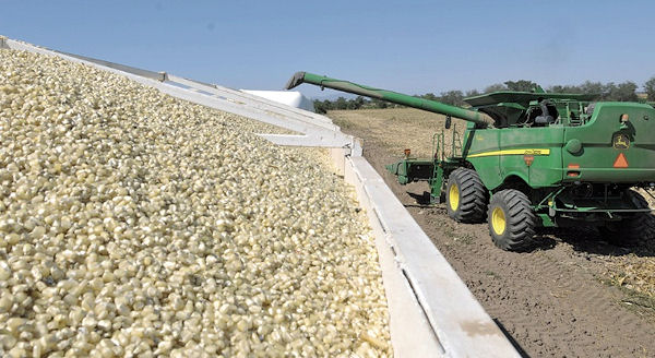 productos agrícolas de sinaloa