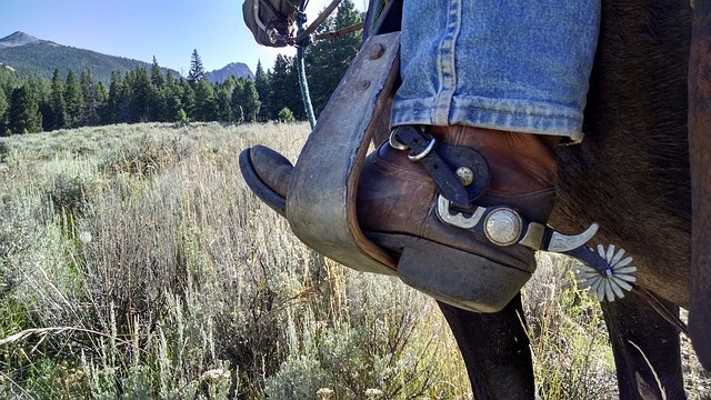 trabajo caballo montar contadores de historias COBAES