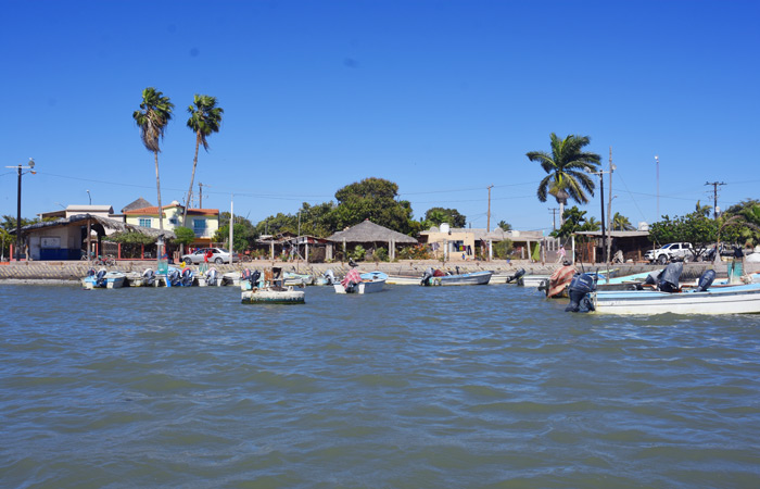 restauración de Bahía Santa María