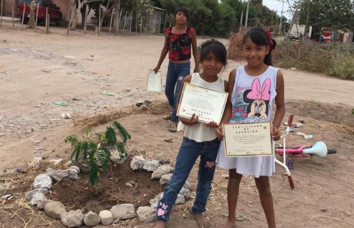 7 parques de villa juárez
