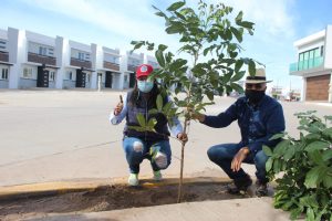 Distribuye SEDESU 200 mil árboles en Sinaloa
