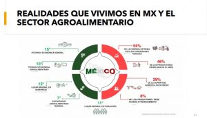Realidades  de la producción agroalimentaria mexicana