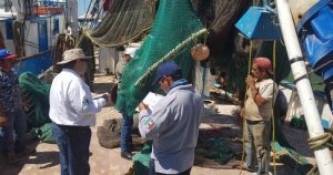 Unirán fuerzas en Sinaloa para para retirar embargo al camarón silvestre