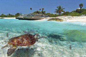 Descubre las Playas favoritas de mexicanos en el Caribe y Noroeste 