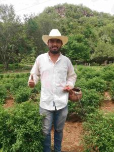 Efraín Payán Cázares cultivador de chile chiltepín