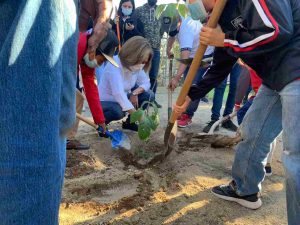 Realizan intensa jornada de arborización en Villa Juárez