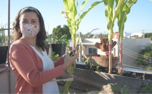Nidia Mónica creó un huerto urbano de azotea en Culiacán