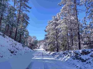 Caminos de Badiraguato con nieve