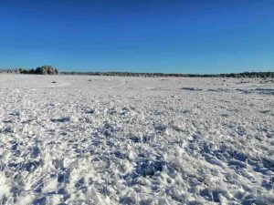 La ruta Badiraguato Parral se viste de nieve