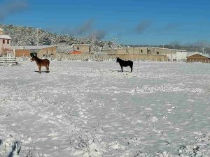 La ruta Badiraguato Parral se viste de nieve