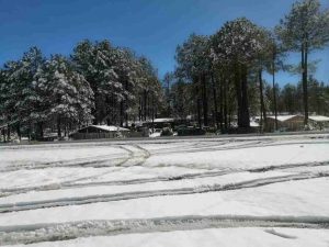 La ruta Badiraguato Parral se viste de nieve