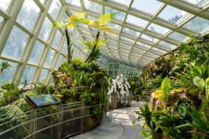 Jardines Botánicos de Singapur