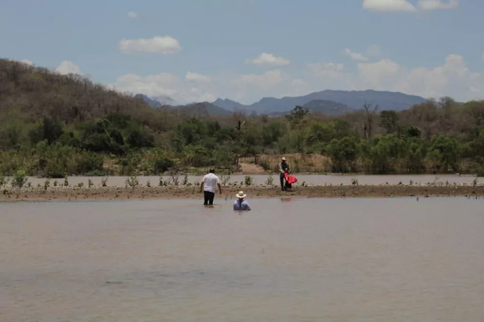 Imagen 3
