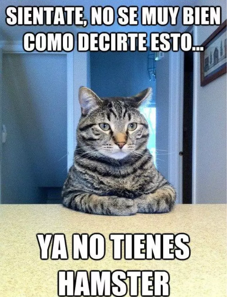 Imagen 4