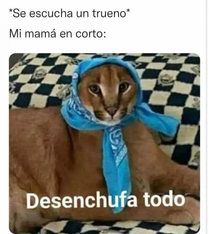 Imagen 6