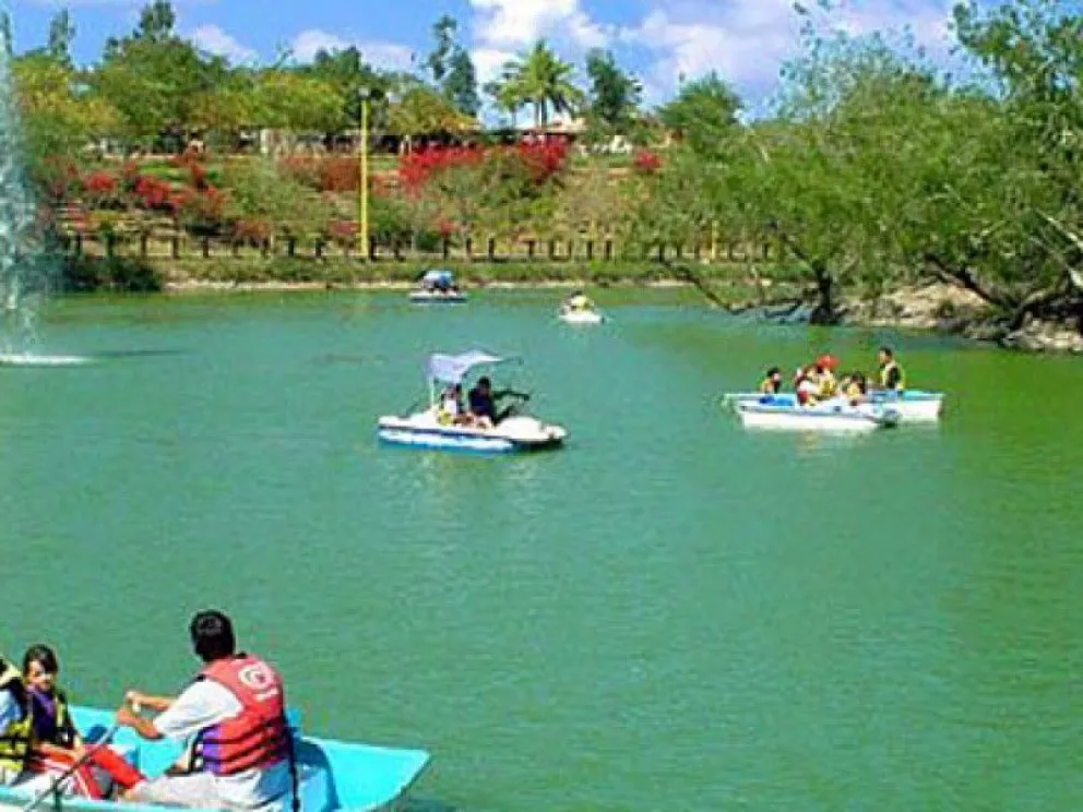 Imagen 2