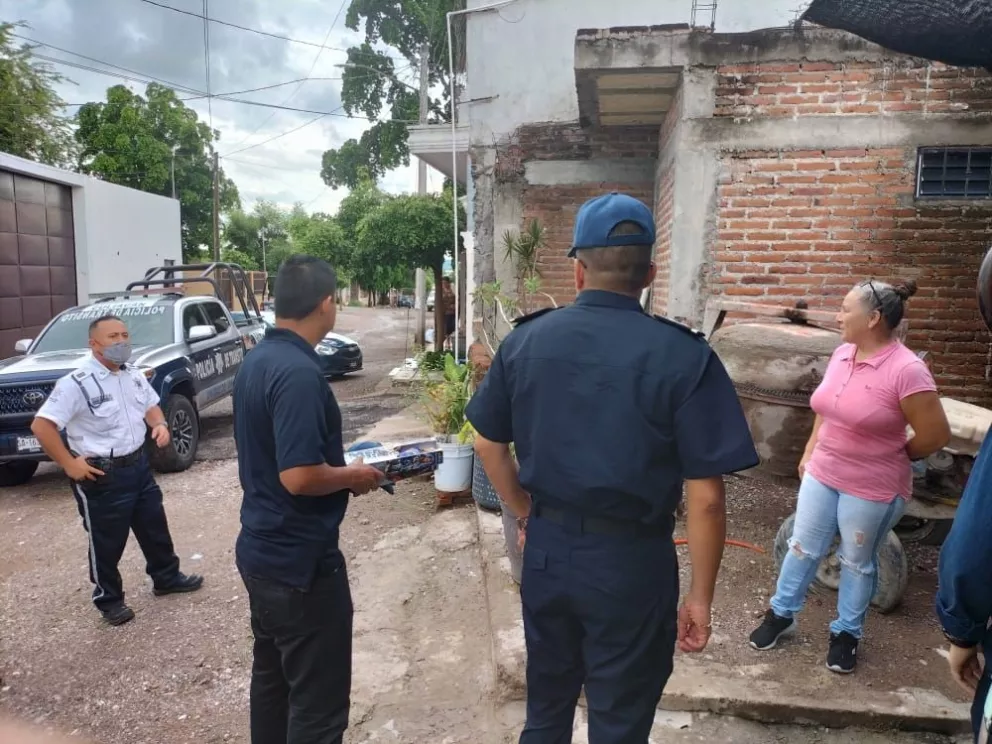 Imagen 2