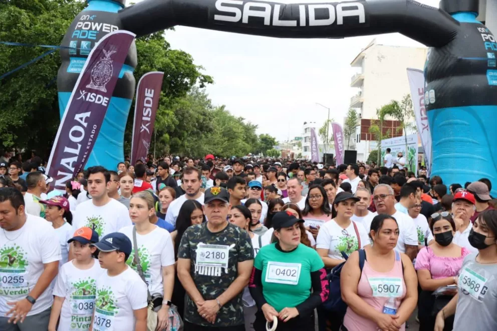 Imagen 6