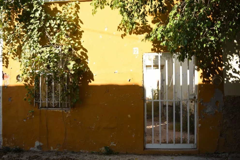 Imagen 4
