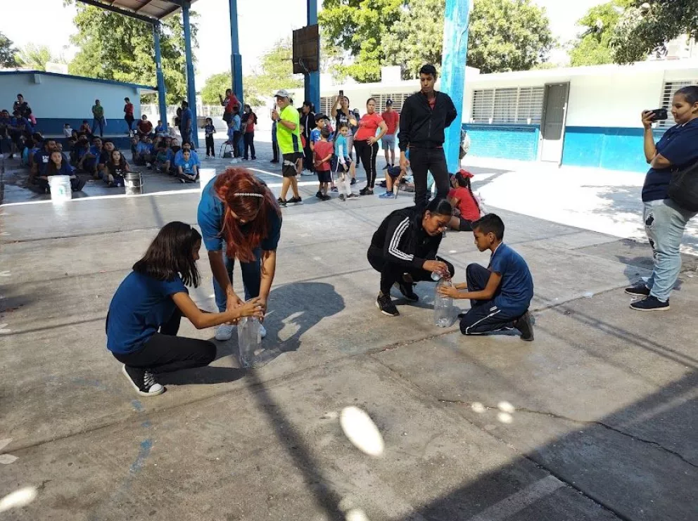 Imagen 13