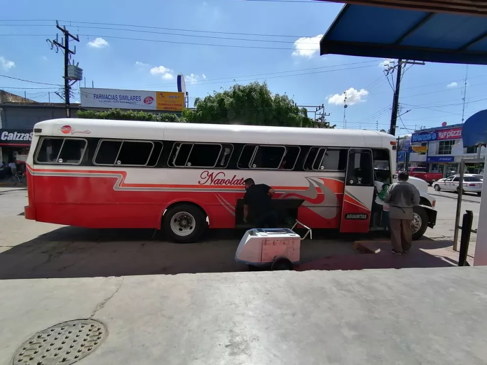 Imagen 5