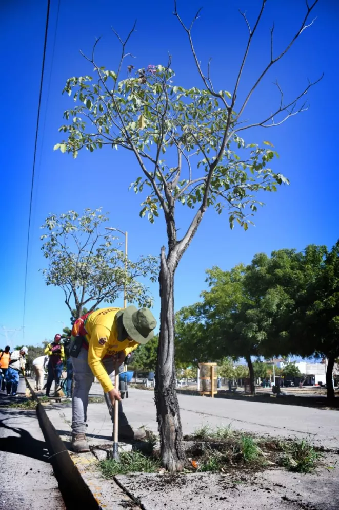 Trabajadores del ayuntamiento de Culiacán no cesan en brindarle limpieza al parque lineal en bulevar Agricultores