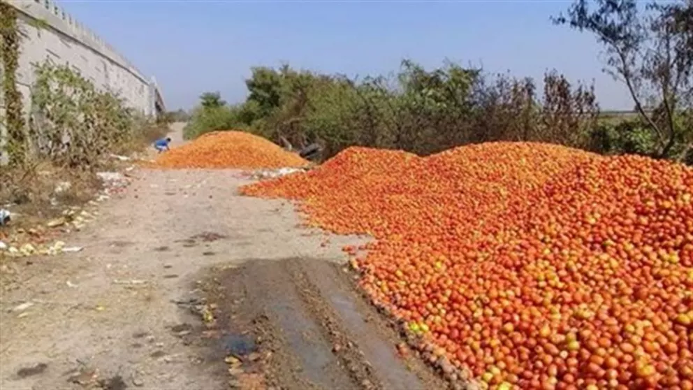 Para que el tomate que se tira por falta de precio llegue a quien tiene hambre, se requiere de infraestructura y trazabilidad. 