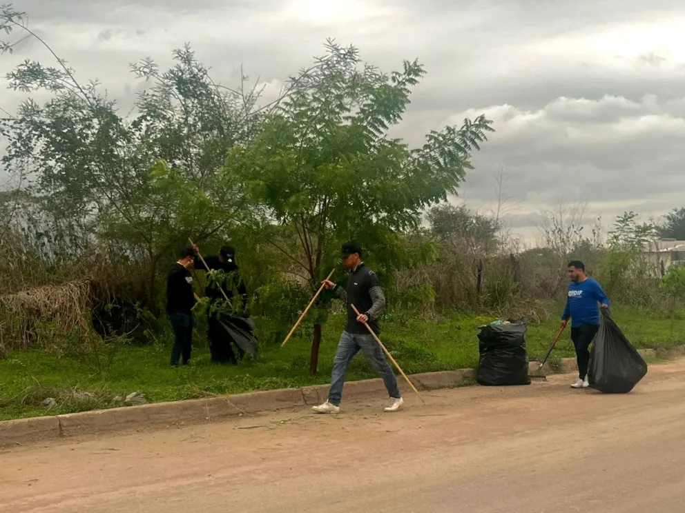Imagen 4