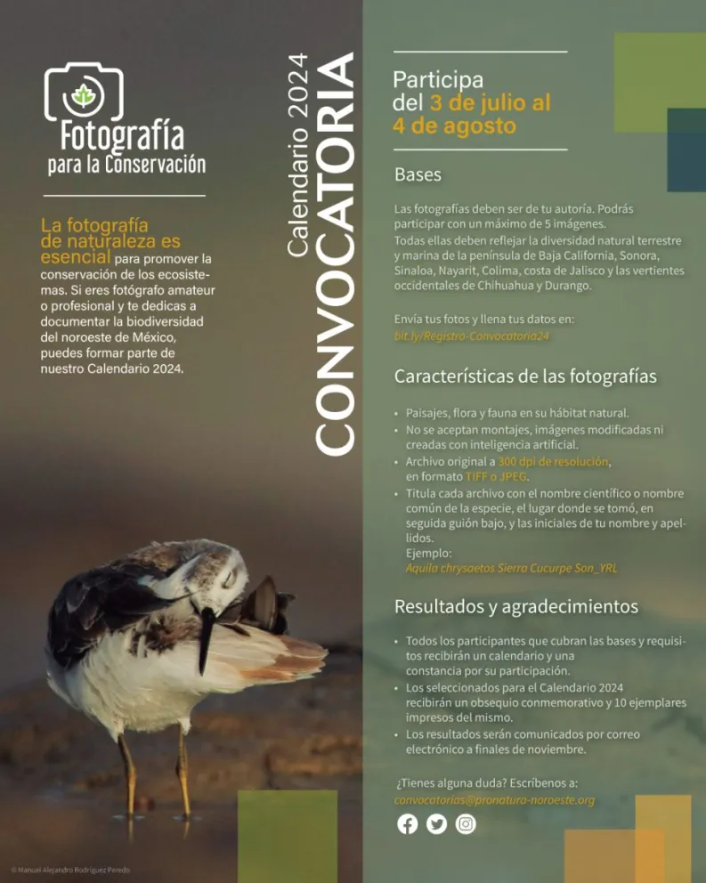 Convocatoria Pronatura Noroeste, concurso “Fotografía para la conservación” 