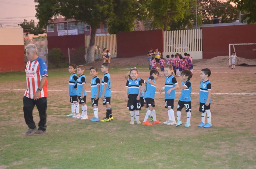 Imagen 12