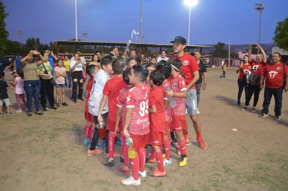Imagen 11