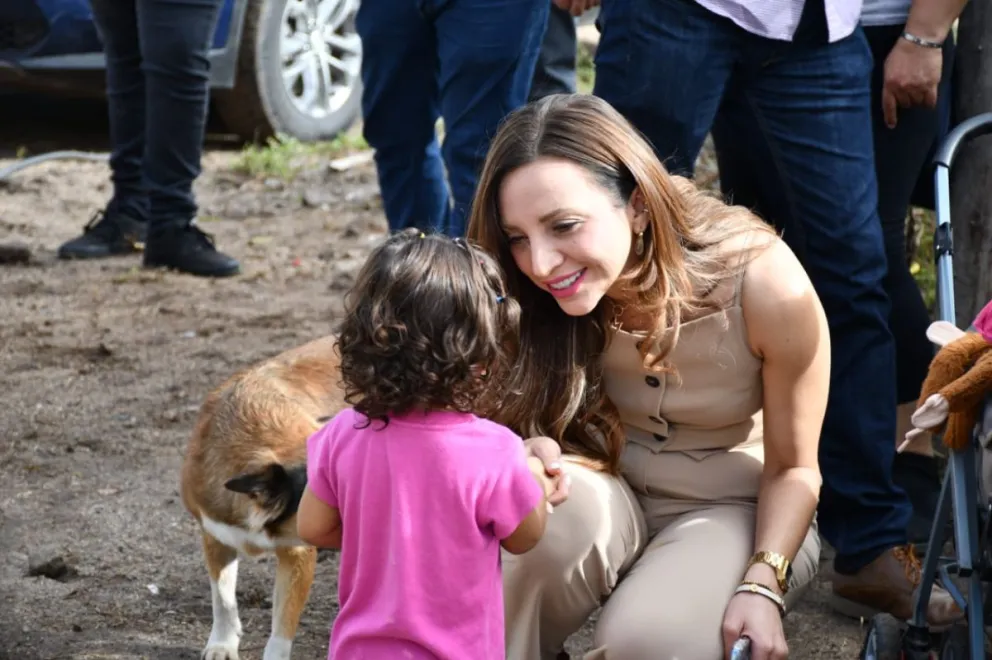Imagen 6