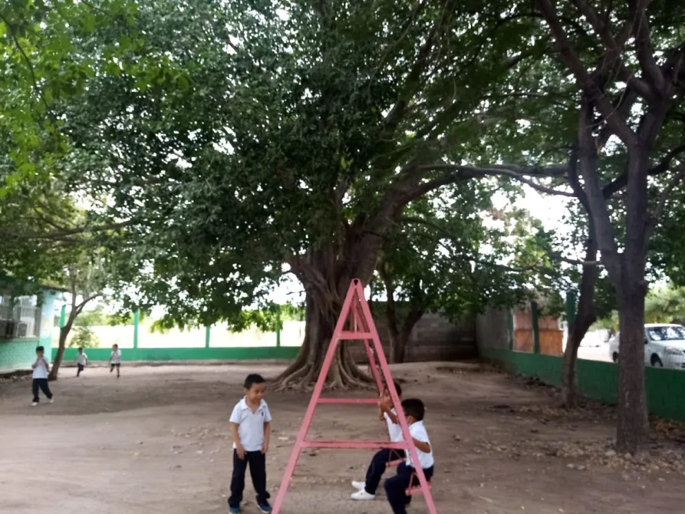 Alegría y educación bajo la sombra, distinción de su jardín de niños