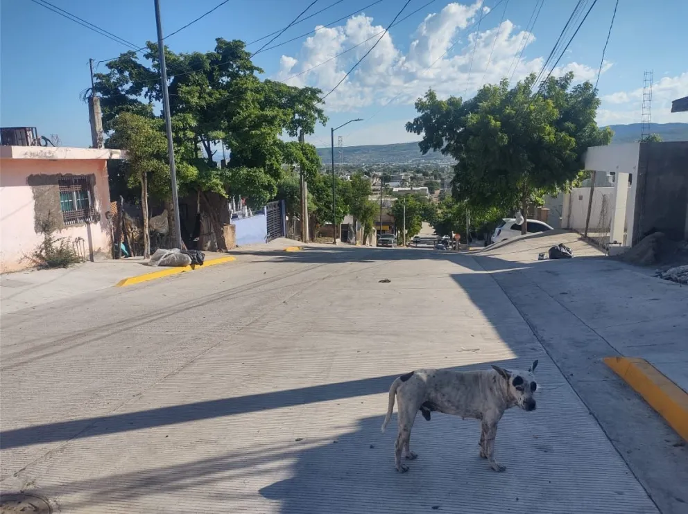 Imagen 2